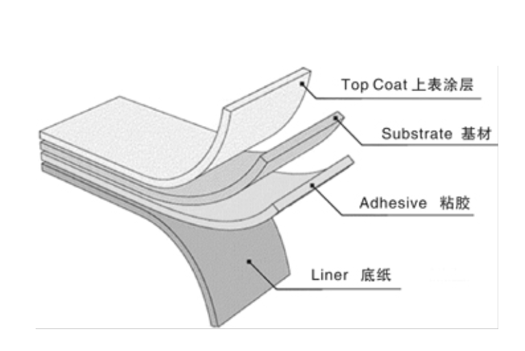 贝迪铜版纸标签